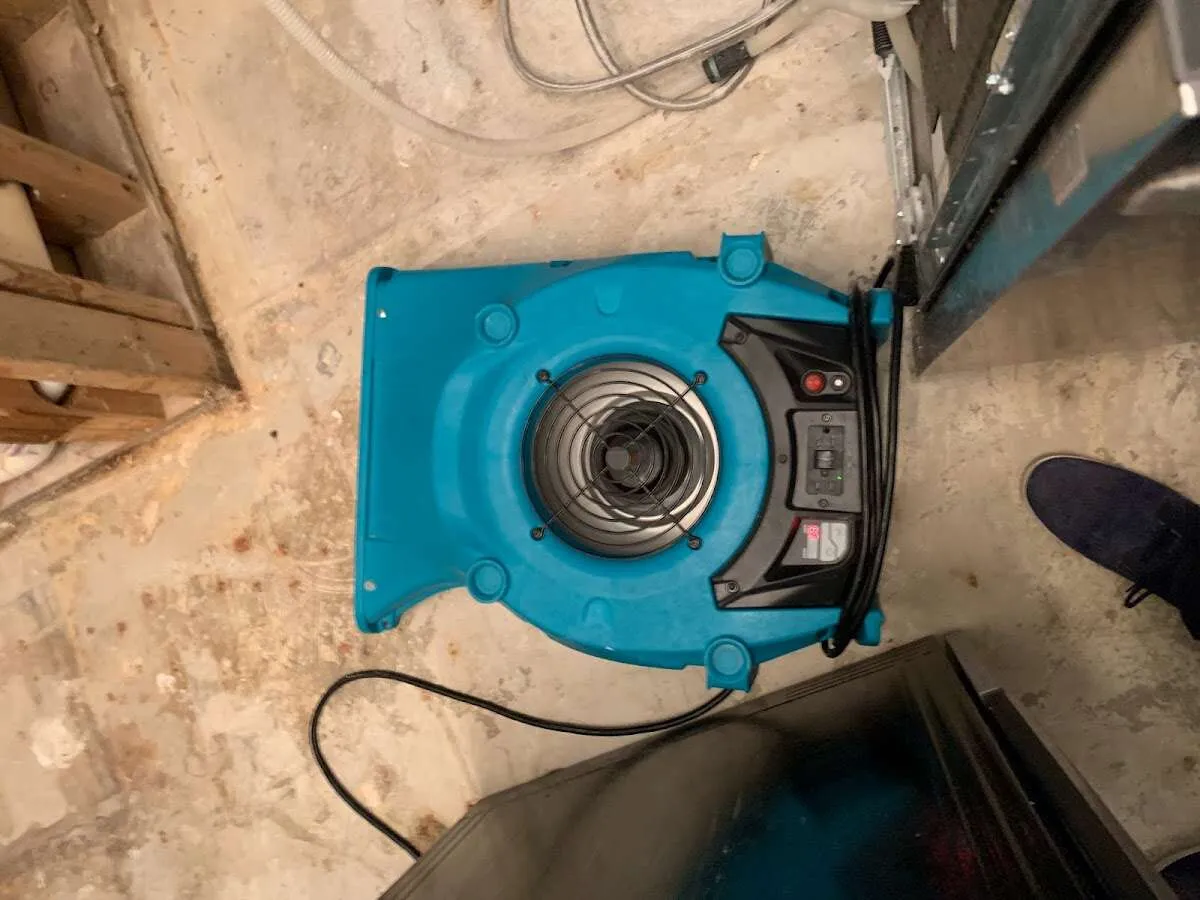 Air mover drying equipment for Mold Remediation & Removal in Catonsville