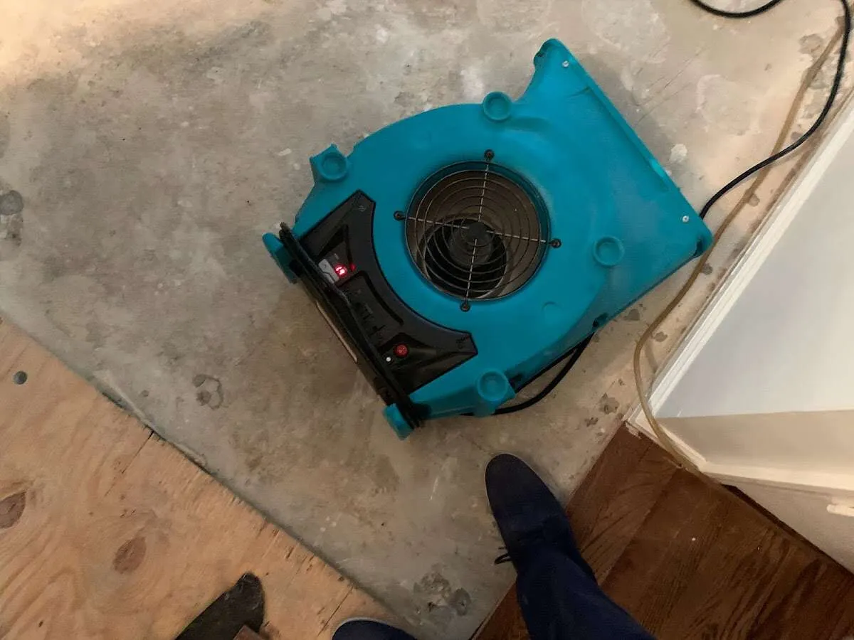 Air mover drying subfloor during Commercial Water Damage Restoration in Catonsville
